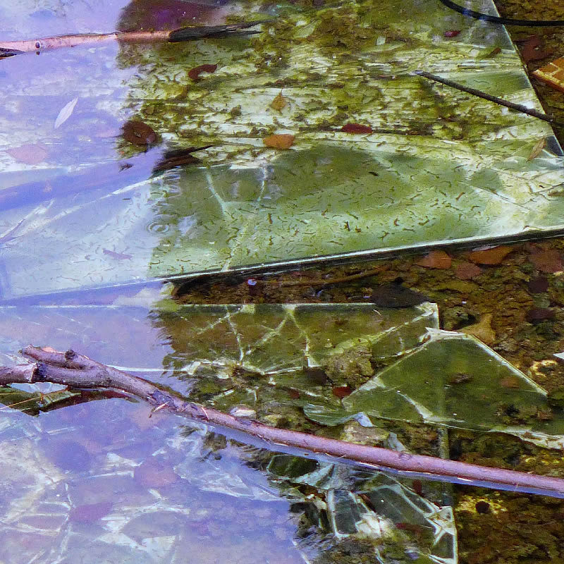 Flotsam by Roger Newbrook