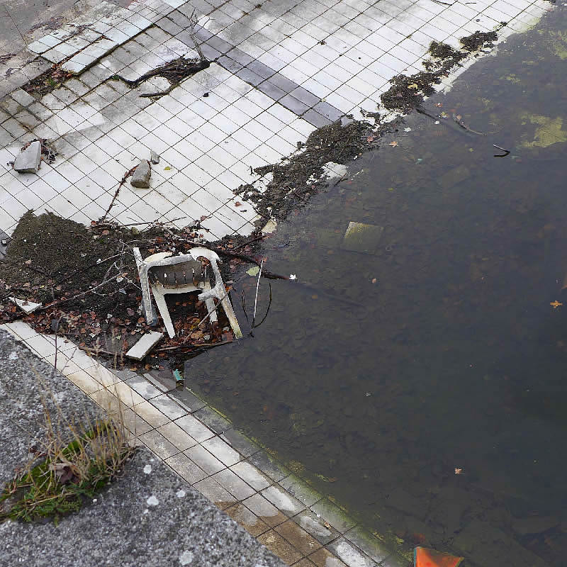 Tideline by Roger Newbrook