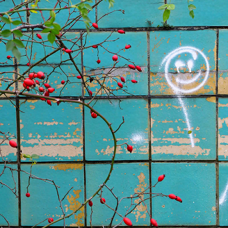 :)  by Roger Newbrook