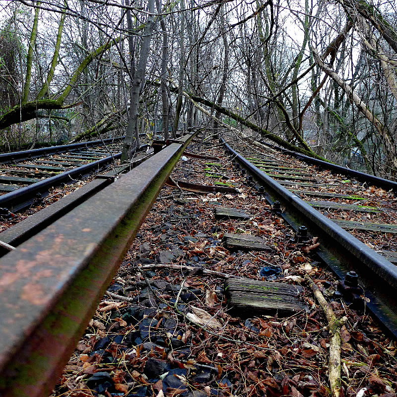 Blocked Line by Roger Newbrook