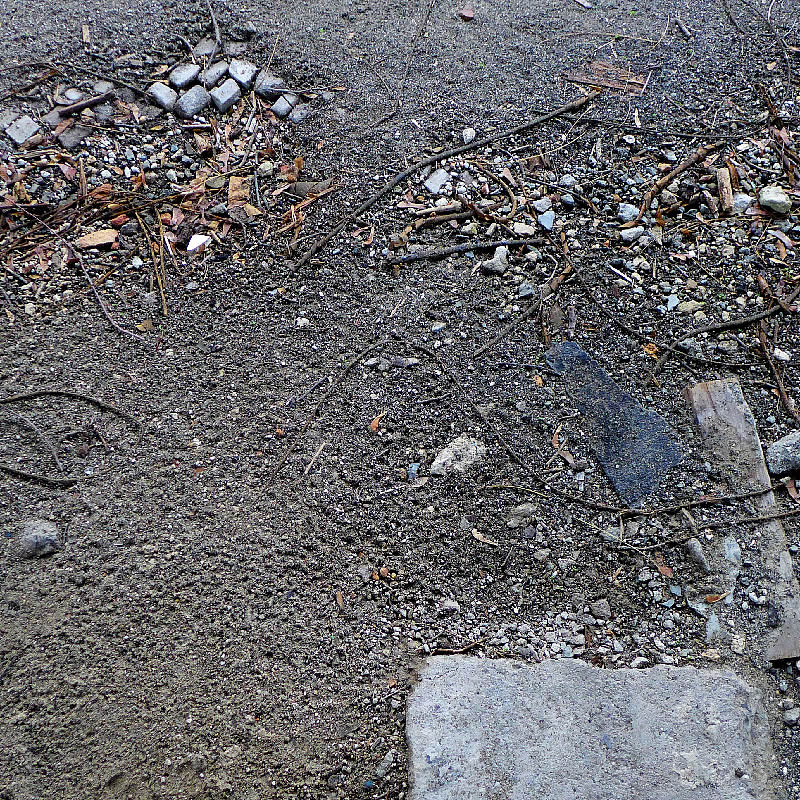 Disruption by Roger Newbrook