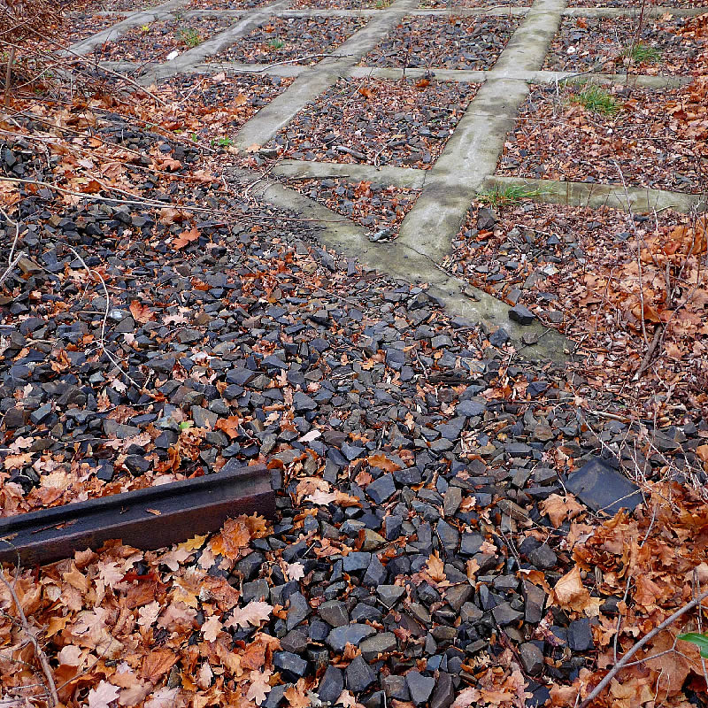 Rail and Grid by Roger Newbrook