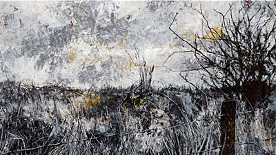 Beyond the fence by Roger Newbrook