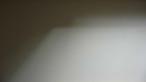 In the orangery by Roger Newbrook