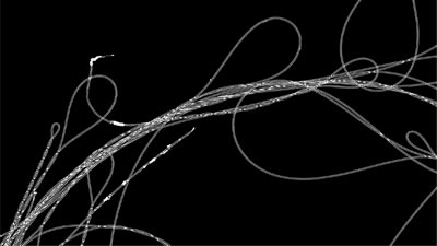 Simple lifeforms album by Roger Newbrook