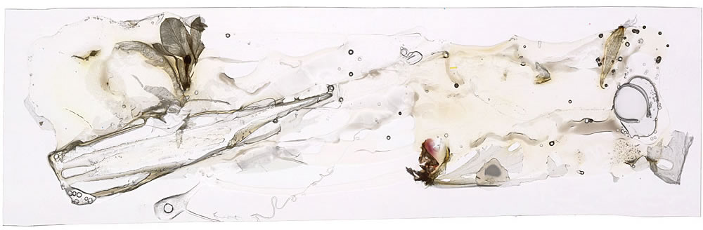 As yet unknown by Roger Newbrook