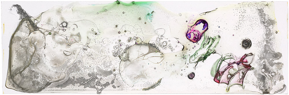 Clear by Roger Newbrook