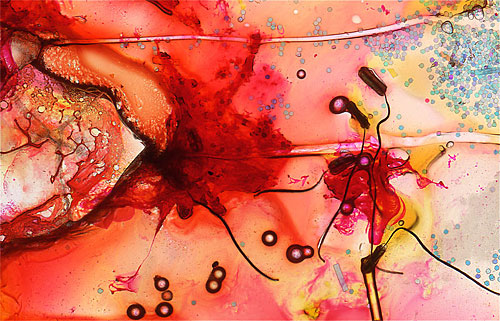 Clustered by Roger Newbrook