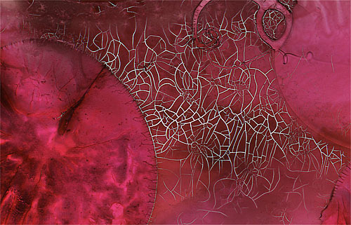 Converse by Roger Newbrook