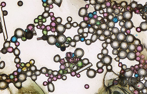 Count by Roger Newbrook