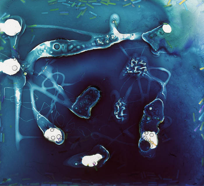 Drawing by Roger Newbrook