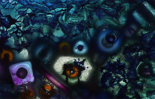 Drown by Roger Newbrook