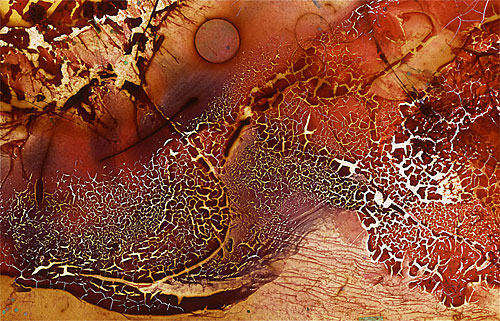 Fall by Roger Newbrook