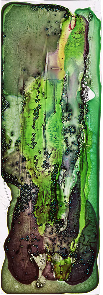 Scale by Roger Newbrook