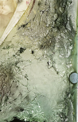 Still by Roger Newbrook