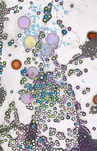 Surge by Roger Newbrook