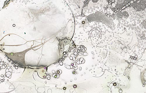 Trace by Roger Newbrook